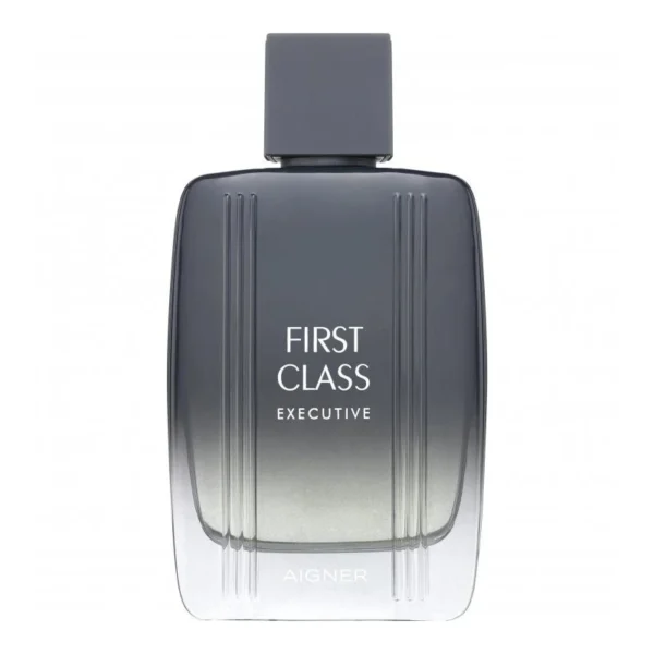 Aigner First Class Executive Edt 100Ml