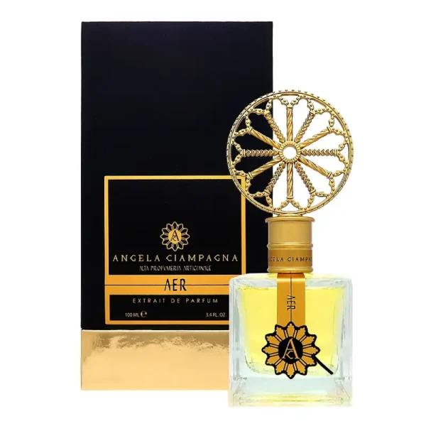 Angela Ciampagna Aer Extrait De Parfum 100Ml - Image 2