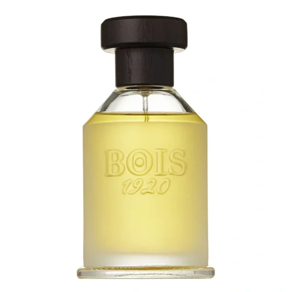 Bois 1920 Vetiver Ambrato Edp 100Ml