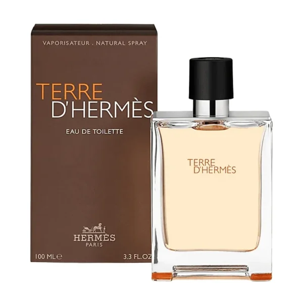 Hermes Terre D Hermes Men Edt 100Ml - Image 2