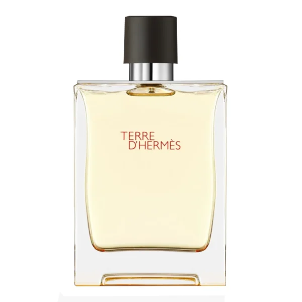 Hermes Terre D Hermes Men Edt 100Ml